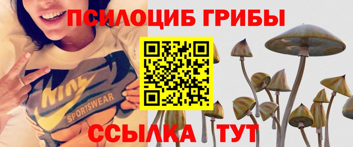 Псилоцибиновые грибы прущие грибы Вольск